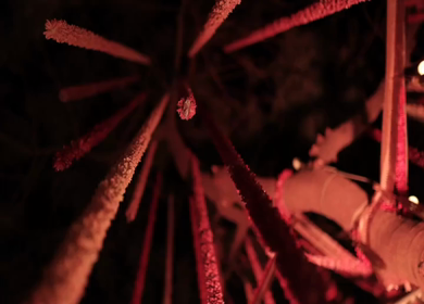 A Slow Motion Shot of an Indian Wedding Venue Decoration in India