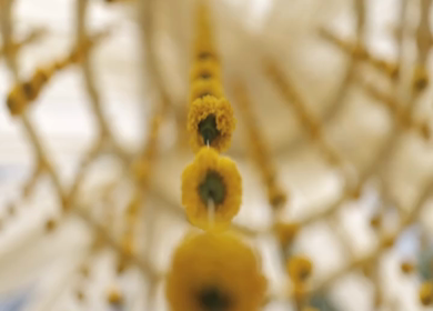 9th February, 2024 : A Slow Motion Shot of an Indian Wedding Decoration