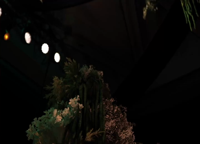 A Slow Motion Shot of an Indian Wedding Venue Decoration in India