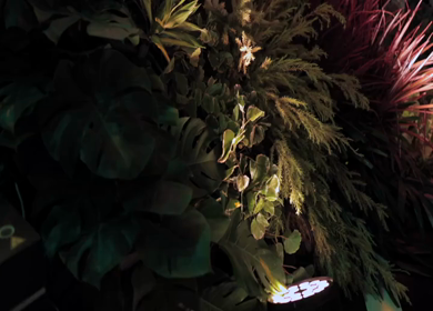 A Slow Motion Shot of an Indian Wedding Venue Decoration in India