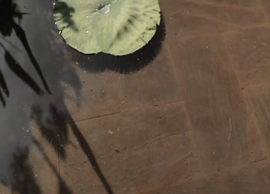 A Slow Motion Shot of an Indian Wedding Venue Decoration in India