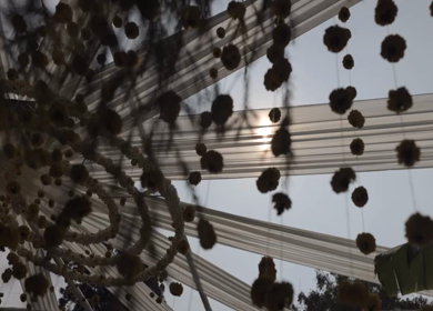 A Slow Motion Shot of an Indian Wedding Decoration in India