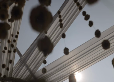 A Slow Motion Shot of an Indian Wedding Decoration in India