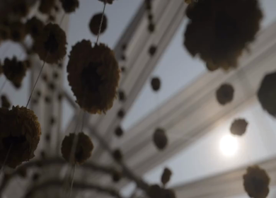 A Slow Motion Shot of an Indian Wedding Decoration in India