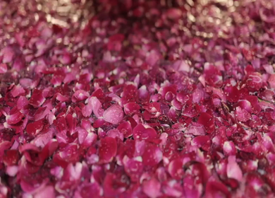 A Slow Motion Shot of an Indian Wedding Venue Decoration in India