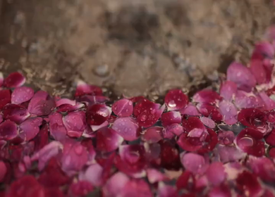 A Slow Motion Shot of an Indian Wedding Venue Decoration in India