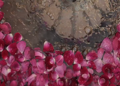 A Slow Motion Shot of an Indian Wedding Venue Decoration in India