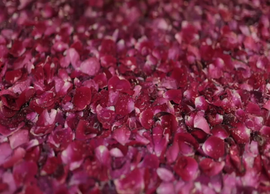 A Slow Motion Shot of an Indian Wedding Venue Decoration in India
