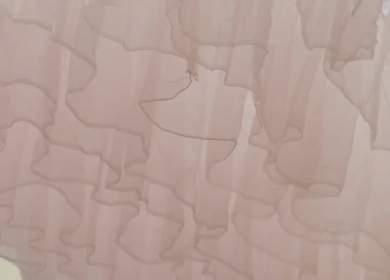 A Slow Motion Shot of an Indian Wedding Venue Decoration in India