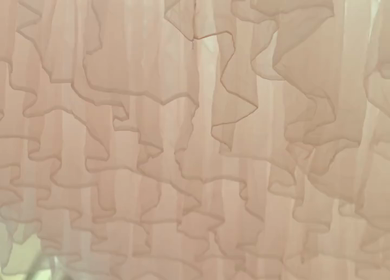 A Slow Motion Shot of an Indian Wedding Venue Decoration in India