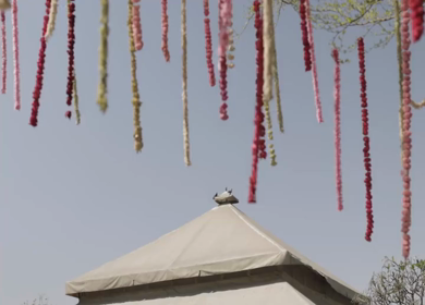 A Slow Motion Shot of an Indian Wedding Venue Decoration in India