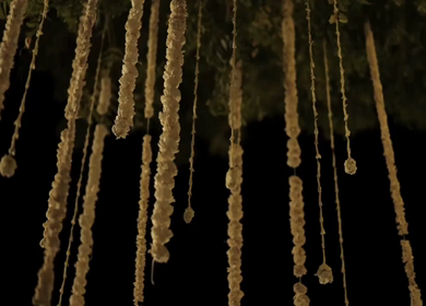 A Slow Motion Shot of an Indian Wedding Venue Decoration in India