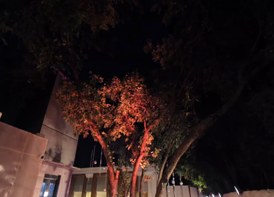 A Slow Motion Shot of an Indian Wedding Venue Decoration in India