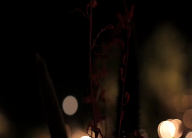 A Slow Motion Shot of an Indian Wedding Venue Decoration in India