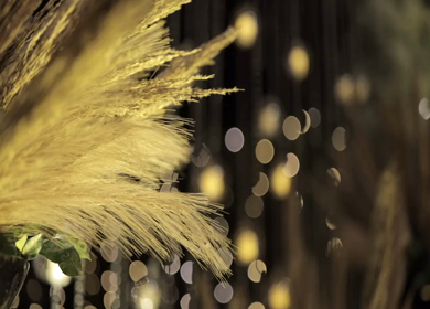 A Slow Motion Shot of an Indian Wedding Decoration in India
