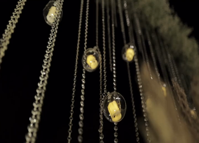 A Slow Motion Shot of an Indian Wedding Decoration in India