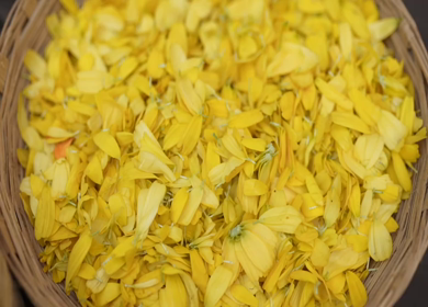 A Slow Motion Shot of an Indian Wedding Venue Decoration in India