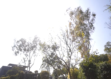 A Slow Motion Shot of an Indian Wedding Venue Decoration in India