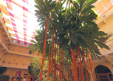 9th February 2019 : A Slow Motion Shot of an Indian Wedding Venue Decoration in India