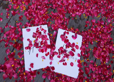 A Slow Motion Shot of an Indian Wedding Venue Decoration in India