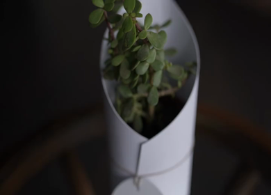 A Slow Motion Shot of an Indian Wedding Venue Decoration in India
