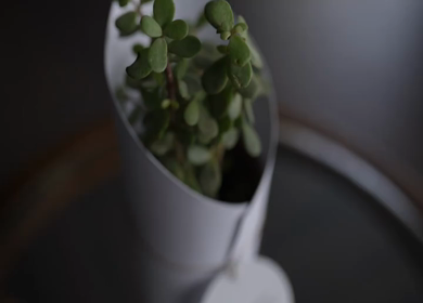 A Slow Motion Shot of an Indian Wedding Venue Decoration in India