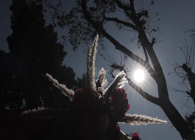 A Slow Motion Shot of an Indian Wedding Venue Decoration at Mussoorie,Uttarakhand in India