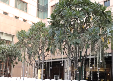 A Slow Motion Shot of an Indian Wedding Venue Decoration in India