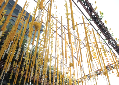 A Slow Motion Shot of an Indian Wedding Venue Decoration in India