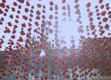 5th January 2025 : A slow motion shot of a bar at an Indian wedding in New Delhi, India