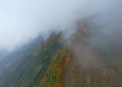Aerial FPV shot flying over a serene lake surrounded by dense forest and autumn colors in Kashmir