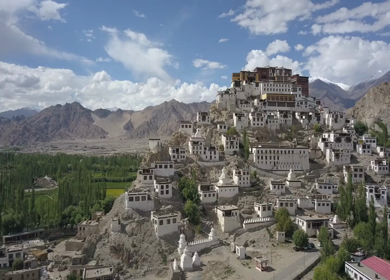 An aerial shot of Leh city at Ladakh