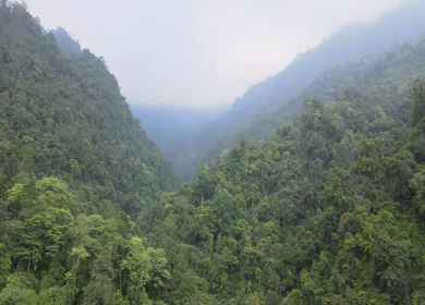 Aerial Shot of Terraced Fields in Mountain Valley Arunachal Pradesh India