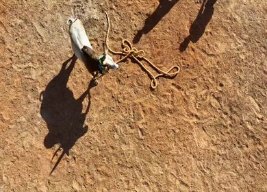 16th January 2026 : Aerial Slow Motion View of Jallikattu Event Traditional Tamil Bull Taming Sport Tamil Nadu India