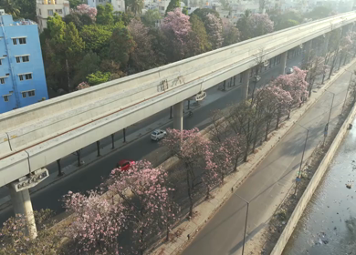 Aerial Slow Motion View of Metro Line and Road at Silk Board Junction with Pink Blossom Trees Bengaluru