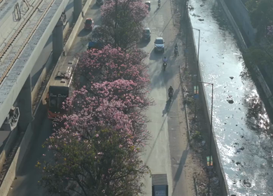 Aerial Slow Motion View of Metro Line and Road at Silk Board Junction with Pink Blossom Trees Bengaluru