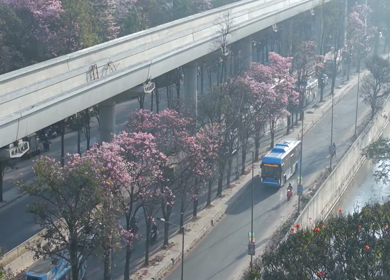 Aerial Slow Motion View of Metro Line and Road at Silk Board Junction with Pink Blossom Trees Bengaluru