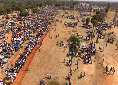 17th January 2026 : Aerial Slow Motion View of Participants Catching Bull at Siravayal Manjuvirattu Festival Tamil Nadu