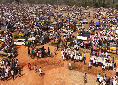 17th January 2026 : Aerial Slow Motion View of Participants Catching Bull at Siravayal Manjuvirattu Festival Tamil Nadu