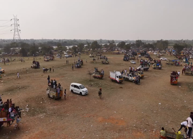17th January 2026 : Aerial Slow Motion View of Participants Catching Bull at Siravayal Manjuvirattu Festival Tamil Nadu