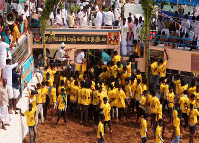 17th January 2026 : Aerial Slow motion View of Bull Release and Participants at Siravayal Manjuvirattu Festival Tamil Nadu