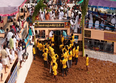 17th January 2026 : Aerial Slow motion View of Bull Release and Participants at Siravayal Manjuvirattu Festival Tamil Nadu