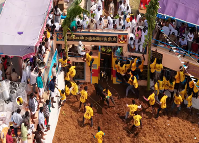 17th January 2026 : Aerial Slow motion View of Bull Release and Participants at Siravayal Manjuvirattu Festival Tamil Nadu