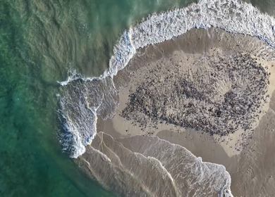 Aerial Slow motion View of Sandbar Island and Turquoise Sea at Erwadi Tamil Nadu India