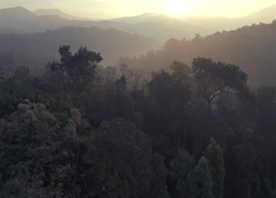 Aerial Sunrise Over Misty Forest and Mountains Sri Lanka