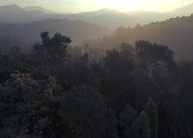 Aerial Sunrise Over Misty Forest and Mountains Sri Lanka