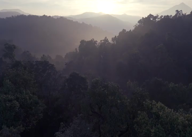 Aerial Sunrise Over Misty Forest and Mountains Sri Lanka