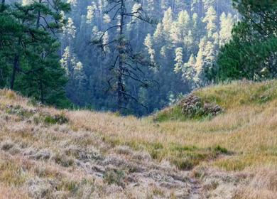 Aerial Sunrise View of Dong Valley Mountains in Anini Arunachal Pradesh India
