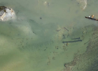 Aerial Top View of River Flowing Through Forest in Anini Arunachal Pradesh India