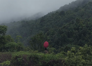 Aerial Vew of Misty Monsoon Forested Hills Western Ghats Maharashtra India